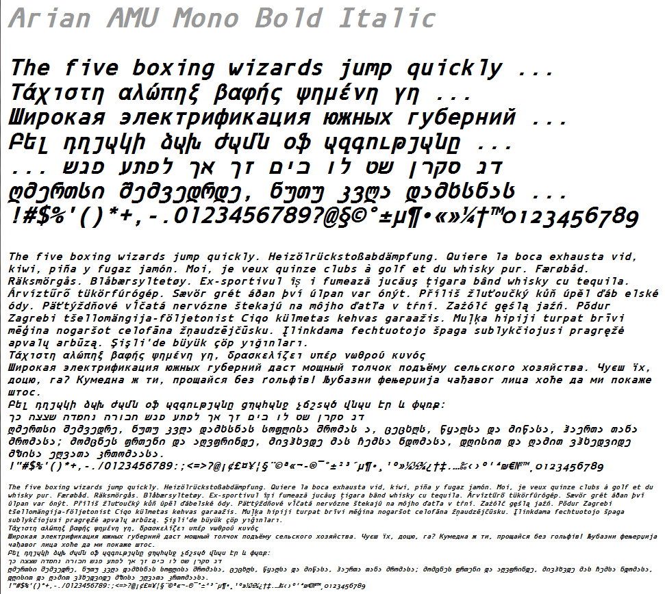 Arian AMU Mono Bold Italic